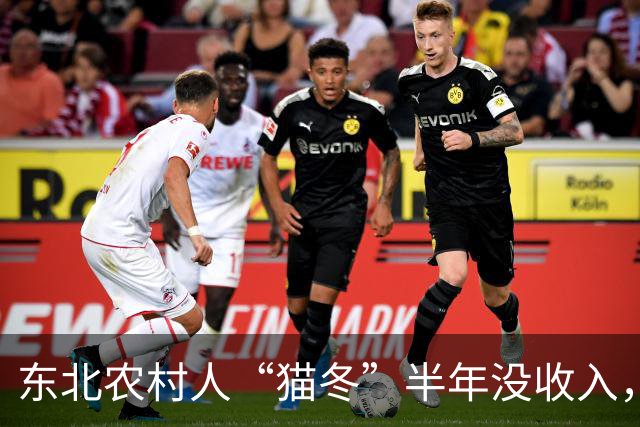 东北农村人“猫冬”半年没收入，一大家子人怎么撑下来的？