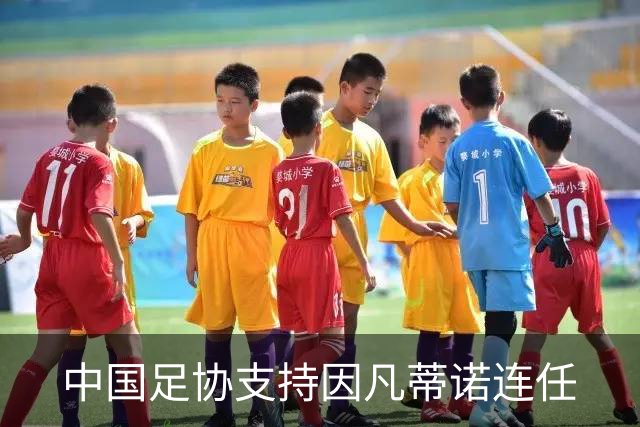 中国足协支持因凡蒂诺连任