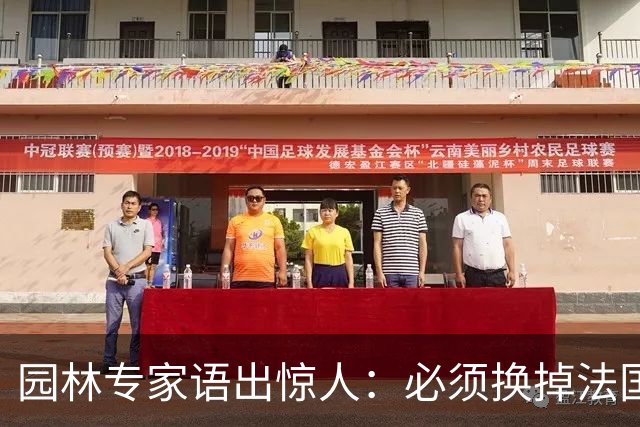 园林专家语出惊人：必须换掉法国梧桐，有很多中国好树被“雪藏”