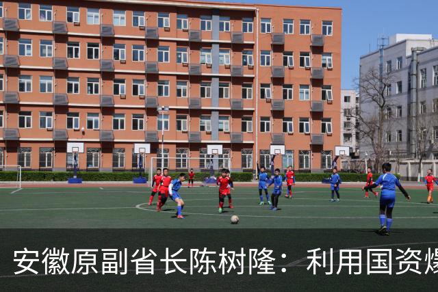 安徽原副省长陈树隆：利用国资爆赚、花天酒地、声色犬马，生了一窝私生子