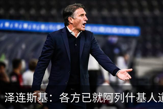 泽连斯基：各方已就阿列什基人道主义行动达成协议