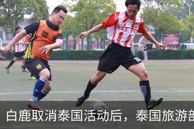 白鹿取消泰国活动后，泰国旅游部长一番话引发争议！