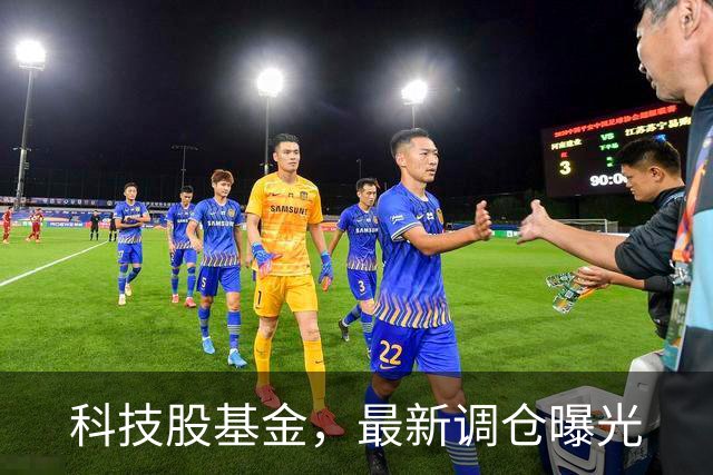 科技股基金，最新调仓曝光