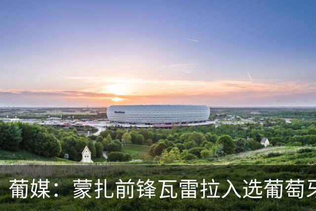 葡媒：蒙扎前锋瓦雷拉入选葡萄牙国家队预备名单