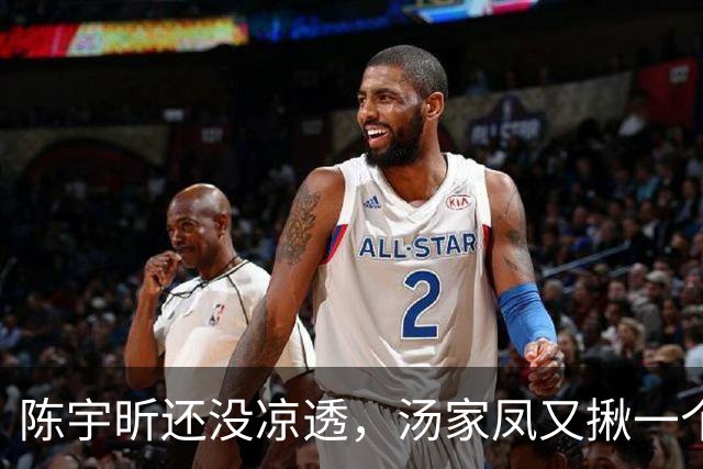 陈宇昕还没凉透，汤家凤又揪一个“精日”人员：竟然还是公司老板